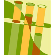 �A�����J���V�F�[���K�X�J���ɐ��������v���͂R����