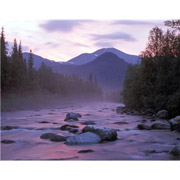 ���E�̐������ɐ�߂�A�����J�̐������̊����͂T.�V��