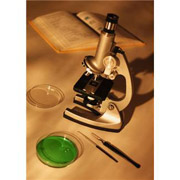 ��ݗ��^�K�X�̓R�[���x�b�h���^���ƃV�F�[���K�X�ɕ���