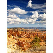 �V�F�[���K�X�́A�i�m���x���ŋC�̂�t�̂Ƃ��đ���