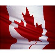 �V�F�[���K�X�ő䓪����̂̓A�����J�ƃJ�i�_